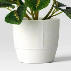 Small Artificial Prayer Plant - Threshold™ -Bürolampen Verkäufe GUEST 263c0364 3491 4e8a b16c c698e30bf304