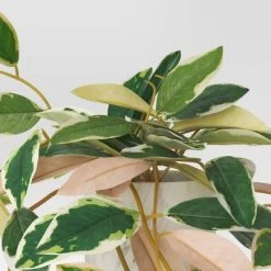 Artificial Plant in Marble Ceramic Pot Pink - Threshold™ -Bürolampen Verkäufe GUEST 5f26cb40 9fdc 4a6a bdf3 f5d3df69b521