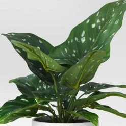 Artificial Calla Lily Leaf in Wood Planter - Threshold™ -Bürolampen Verkäufe GUEST 72a5d59c 4d90 426a bba5 0654779449aa