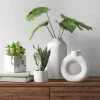 8" x 5" Artificial Snake Plant in Pot - Threshold™ -Bürolampen Verkäufe GUEST 7e07a96e 8326 4e71 b1c4 f2011cbc33ff
