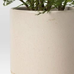 Small Artificial Asparagus Fern - Threshold™ -Bürolampen Verkäufe GUEST 8b15740c 2be3 41c6 8788 4e6e75294d85