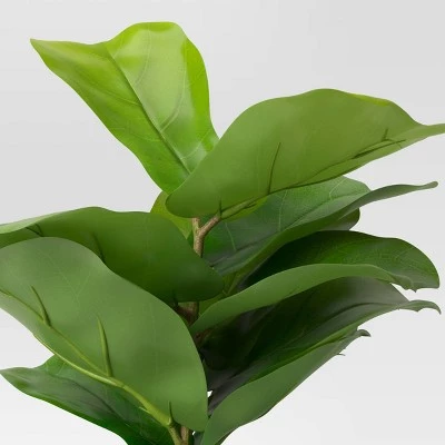 15" x 10" Artificial Fiddle Leaf Plant in Pot - Threshold™ 4 15" x 10" Artificial Fiddle Leaf Plant in Pot - Threshold™ - Image 2