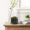 14" x 5" Skinny Glass Vase - Threshold™ -Bürolampen Verkäufe GUEST b43331aa 60b5 4b88 a523 58e476b82044