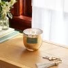 2-Wick 13oz Mercury Glass Candle Cashmere Persimmon Green - Threshold™ -Bürolampen Verkäufe GUEST cff15074 72a8 4e18 9792 56d36bc0b9c5