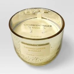 2-Wick 13oz Mercury Glass Candle Candied Ginger and Vanilla Tan - Threshold™