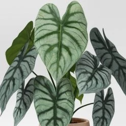 Small Artificial Dasheen Leaf Plant - Threshold™ -Bürolampen Verkäufe GUEST f70b6a75 41df 4898 b990 15ba14d4d305