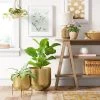Small Brass Planter - Threshold™ -Bürolampen Verkäufe GUEST fee58bf9 126d 48ce ba4e 2e8424a7a911